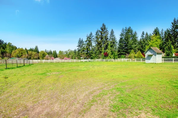 Landsbygden hästgård — Stockfoto