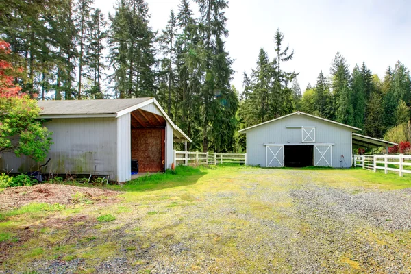 Countryside horse farm — Stock Photo, Image