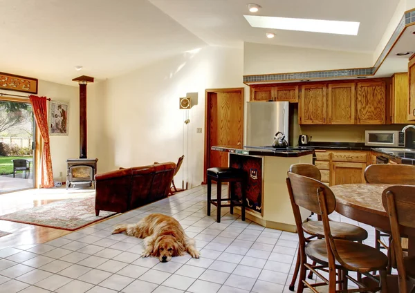 Bright kitchen with dining area and living room — Stock Photo, Image