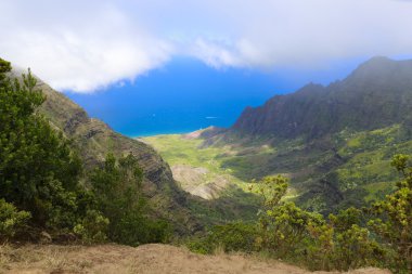 cennet Hawaii Adaları
