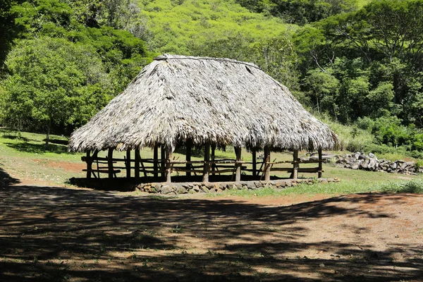 Native Hawaiian village house — Stock Photo, Image