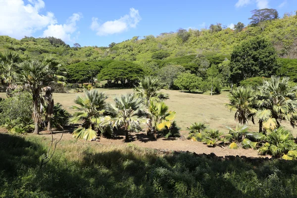 Uitzicht op het pittoreske landschap. Kauai park — Stockfoto