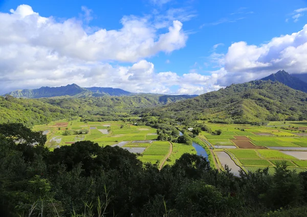 Paradiso sulle isole Hawaii — Foto Stock