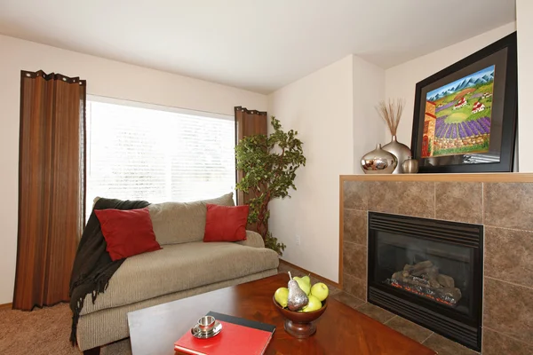 Cozy living room with a fireplace — Stock Photo, Image