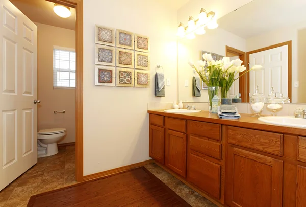 View of the bathroom cabinets and toilet — Stock Photo, Image