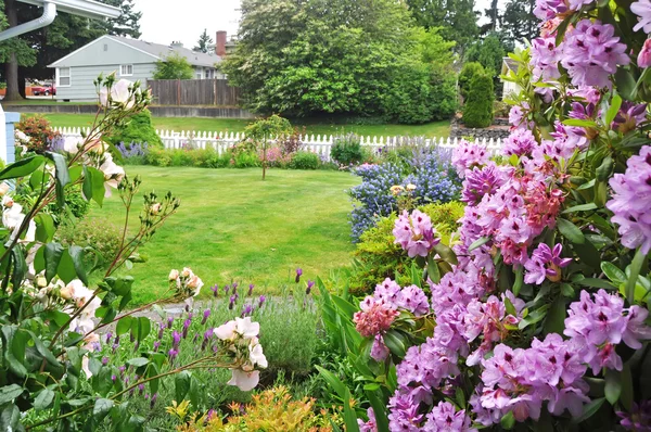 Bloeiende bloemen en omheind voortuin op de achtergrond — Stockfoto