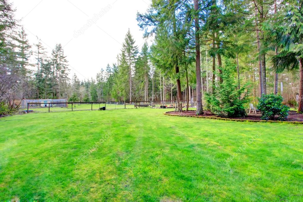 View of the countryside backyard with lawn and rest outdoor area