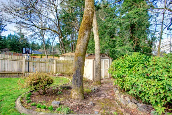 Fenced backyard with a small shed — Stock Photo, Image