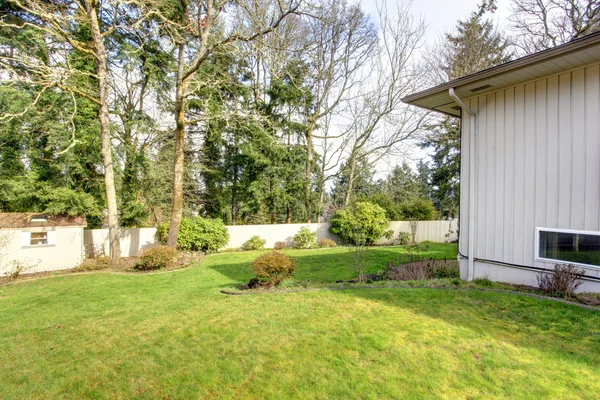 Gartengestaltung im Hinterhof. — Stockfoto