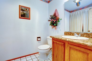 hafif mavi tuvalet. Görünümü tuvalet ve lavabo dolabı