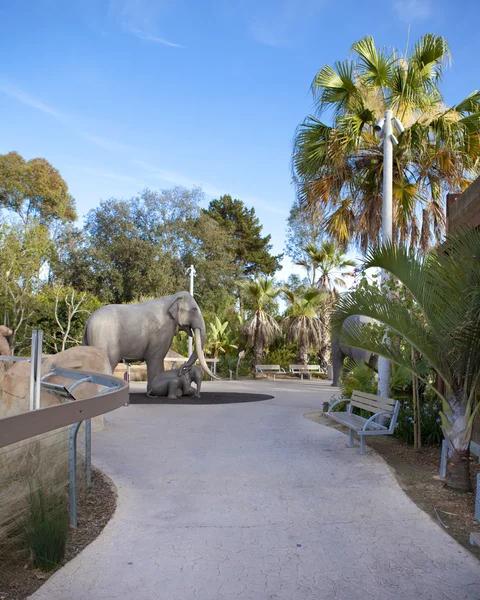 Exotische wandelpad in san diego zoo — Stockfoto