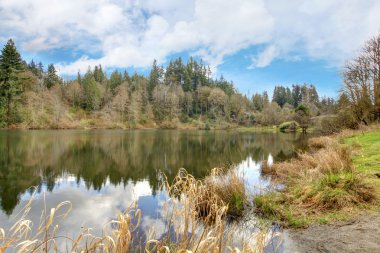küçük göl rasmussen, duval. WA state. ABD