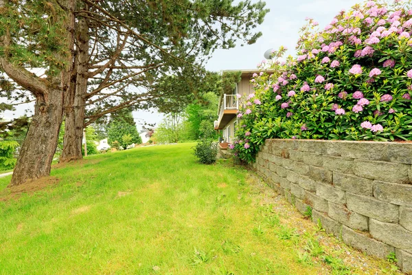 Side yard with blooming bushes — Stock Photo, Image