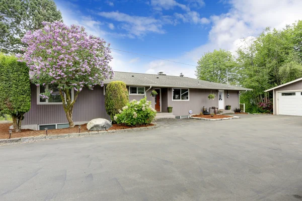 House with beautiful blooming tree ang bushes — Stock Photo, Image