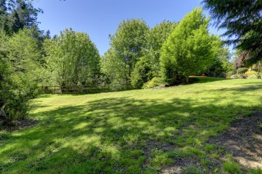 güzel yeşil arka bahçe