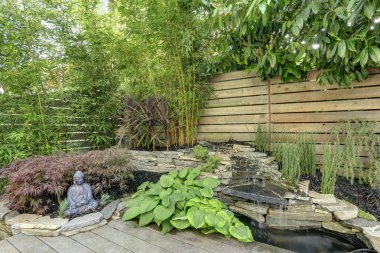 güzel tropikal peyzaj.