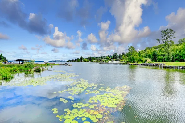 Lake view from private dock — Stock Photo, Image