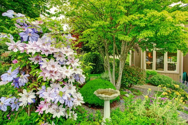 Дом сад с антикварным фонтаном — стоковое фото