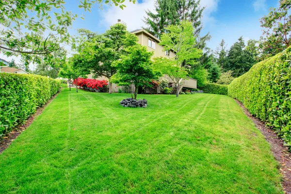 Schöner Garten im Hinterhof — Stockfoto