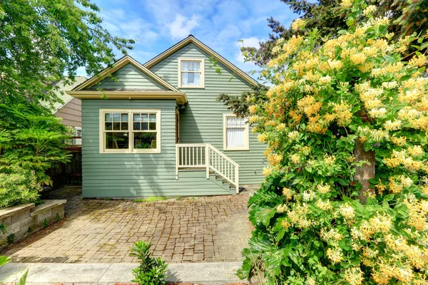 House exterior. Backyard view — Stock Photo, Image