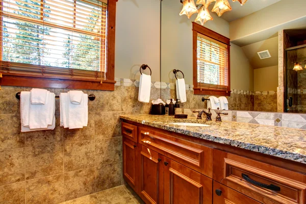 Bathroom interior — Stock Photo, Image