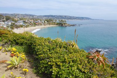 Okyanus Manzaralı. Laguna beach