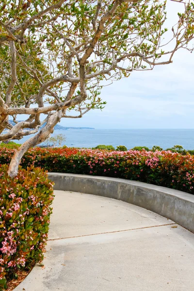 Vackra silhuett vy från gångväg. Laguna beach — Stockfoto