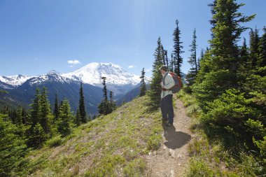doğal manzarayı. Hiking trail. MT rainer, washington