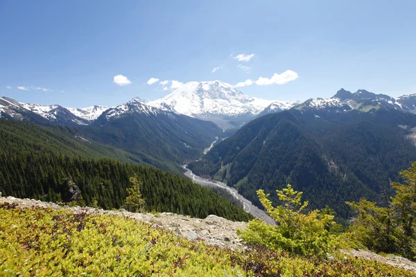 Scenic view of Mt Rainer. Washington, Seattle — Stock Photo, Image