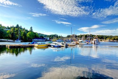tacoma, washington'ın defne görünümünde