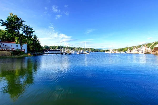 Tacoma during summer time — Stock Photo, Image