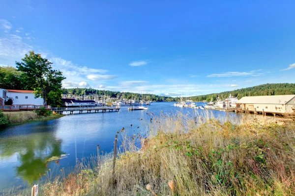 Tacoma tijdens zomertijd — Stockfoto