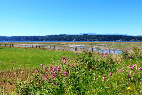 Isla Marrowstone. Península Olímpica. WA — Foto de Stock