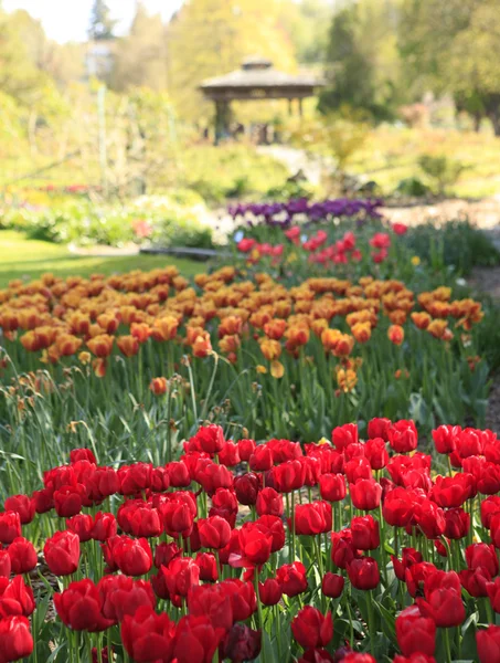 Point Defiance park in Tacoma, WA. — Stock Photo, Image