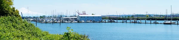 Tacoma Browns Point Marina. Panoramaudsigt - Stock-foto
