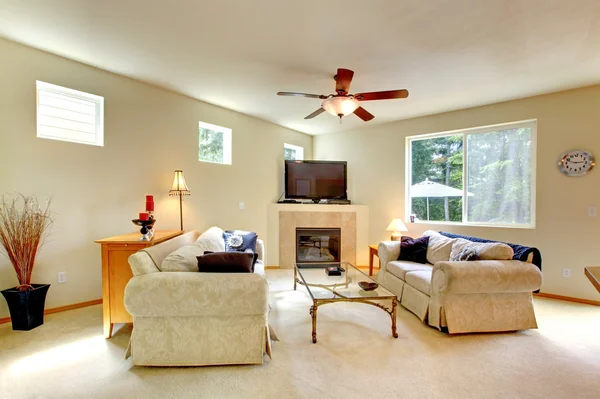 Elegant living room interior — Stock Photo, Image