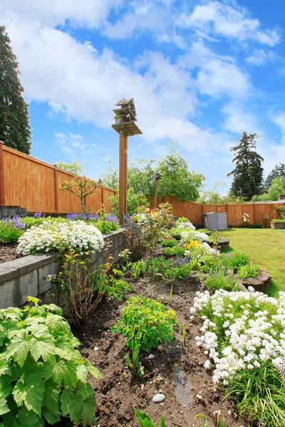 Backyard landscaping.  Flower beds — Stock Photo, Image