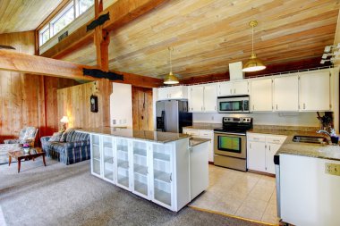 günlük kabin evin iç. mutfak Oda