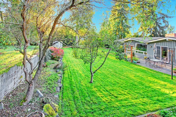 Casa con jardín trasero — Foto de Stock