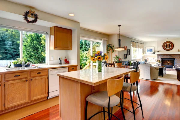 Hausinnenraum. Blick auf Kücheninsel und Wohnzimmer — Stockfoto