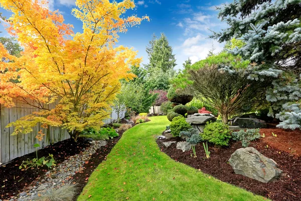 Achtertuin landschapsontwerp. tropische thema — Stockfoto