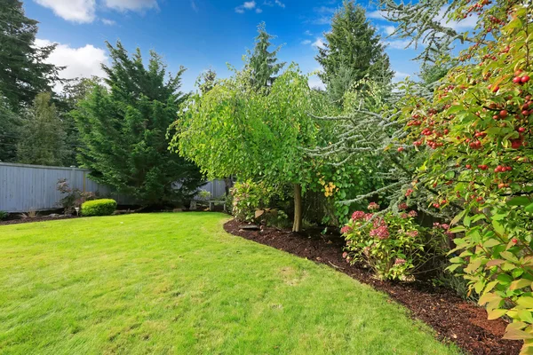 Backyard landscape design — Stock Photo, Image