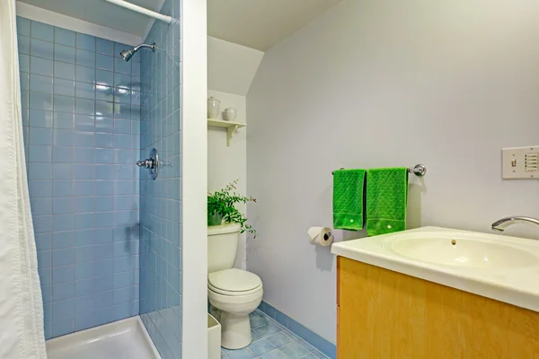 Interior del baño simple en tonos azules claros — Foto de Stock