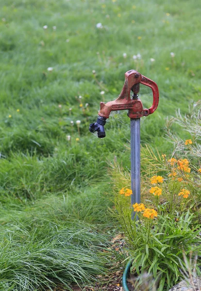 Oude tuin waterkraan — Stockfoto