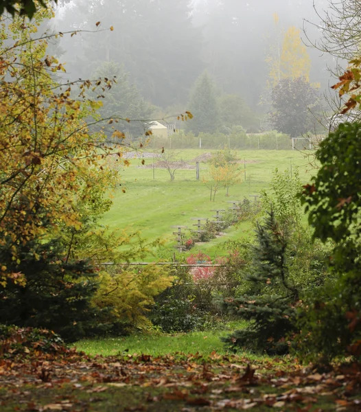 Granja de jardín durante el otoño . — Foto de Stock