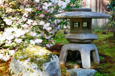 Seattle Japon bahçesi. 