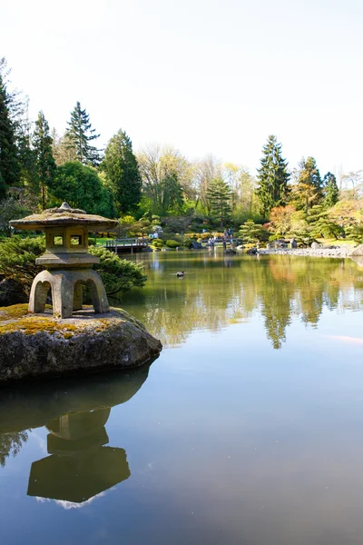 Vijver in Japanse tuin — Stockfoto