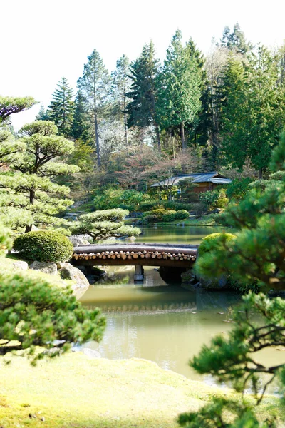 Schilderachtige vijver in Japanse tuin — Stockfoto