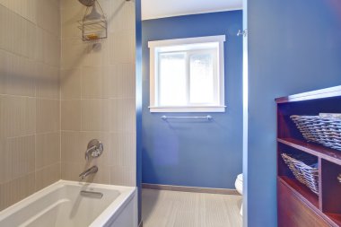 lichte blauwe badkamer interieur