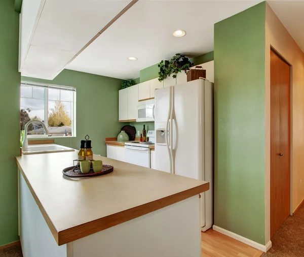 Simple mint kitchen interior in empty house — Stock Photo, Image